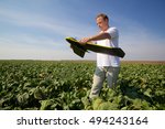 Man holds fixed wings drone while standing in a sugar beet field, prepares for drone launch and aerial imaging of crops