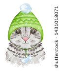 Cute Cat In Winter Hat....