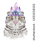 Funny American Indian Cat...