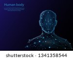 abstract image human body in... | Shutterstock .eps vector #1341358544