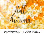 autumn branch with beech... | Shutterstock . vector #1794519037