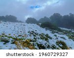 Small photo of View of footpath in a forest, on a rare snowy day, on mount Adir, Northern Israel