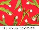 white beautiful spring tulips... | Shutterstock . vector #1656617911