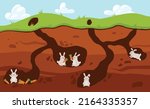 Rabbit family living underground in holes, cartoon flat vector illustration. Bunnies collect carrots underground. Happy earth and soil inhabitants. Cute rabbits in burrows.