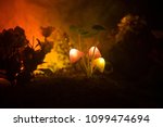 Three fantasy glowing mushrooms in mystery dark forest close-up. Beautiful macro shot of magic mushroom or three souls lost in avatar forest. Fairy lights on background with fog. Selective focus
