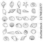 Set Of Seashells Drawing...