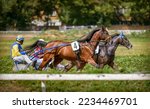 Small photo of Jockeys and horses. Racing horses competing with each other. Race in harness with a sulky or racing bike. Harness racing. Trotting horse race. Sport banner