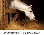 White Horse Eating Hay  Straw ...