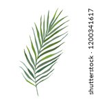 tropical palm leaf | Shutterstock .eps vector #1200341617