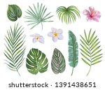 hand drawn set of tropical... | Shutterstock .eps vector #1391438651