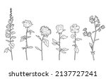 silhouettes  floral branch and... | Shutterstock .eps vector #2137727241