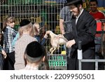 Small photo of Ultra-Orthodox Jews perform the Kaparot ritual, white chickens are slaughtered, symbolic gesture of a Yom Kippur, Jewish Day of Atonement, in Israeli city of Beit Shemesh on October 2, 2022.