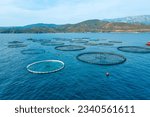 Offshore aquaculture in...