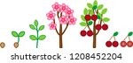 life cycle of cherry tree.... | Shutterstock .eps vector #1208452204