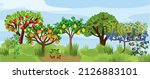landscape with different fruit... | Shutterstock .eps vector #2126883101