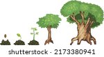 life cycle of tree  from seed... | Shutterstock .eps vector #2173380941