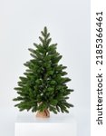 Small photo of Pretty bushy danish Christmas tree without decorations in a large pot wrapped in sackcloth with space for your message on white background