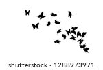 flying butterflies silhouettes. ... | Shutterstock .eps vector #1288973971