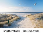 Beach  Dunes And North Sea