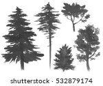silhouettes of trees ... | Shutterstock . vector #532879174