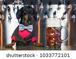 Dog Dachshund Bartender  Black...