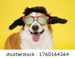 Small photo of Funny smiling welsh corgi pembroke dog in warm winter hat with earflaps and sunglasses personifying russian style on yellow background, copy space for advertising