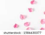 Top View Of Pink Rose Petals On ...