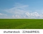 Beautiful landscape of meadows or pastures with green grass on background of blue sky with clouds.