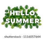 Text Hello Summer With Smooth...