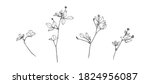 hand drawn blossom wild plants. ... | Shutterstock .eps vector #1824956087