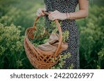 Picnic basket with bread against the backdrop of a rapeseed field.