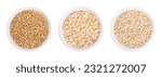 Small photo of Oat grains, rolled oats and oatmeal, in white bowls. Husked common oat, Avena sativa, a cereal grain. Dehusked steamed oat groats, rolled into flat flakes, toasted, used whole or as steel-cut flakes.