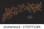 vector art line nature. floral... | Shutterstock .eps vector #1725771184