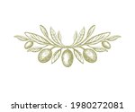 olive  rustic symbol. vector... | Shutterstock .eps vector #1980272081