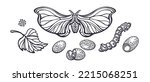 Silkworm Set. Vector Butterfly  ...