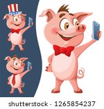 Funny Pig As Symbol Of New Year ...