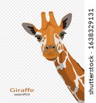  Cute Giraffes On A Transparent ...