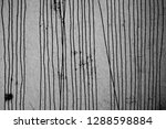 black lines   abstract... | Shutterstock . vector #1288598884
