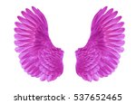 Two Wings Free Stock Photo - Public Domain Pictures