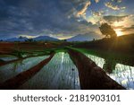 Beautiful morning view of Indonesia. Panoramic view of rice terraces