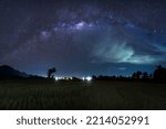 Indonesian natural scenery with rice fields at night