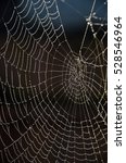 spiderweb with dew drops | Shutterstock . vector #528546964