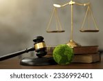 Small photo of International Law and Environment Law. Green World and gavel with scales of justice and books. law for global economic regulation aligned with the principles of sustainable environmental conservation.