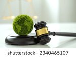Small photo of International Law and Environment Law. Green World and gavel with scales of justice. law for global economic regulation aligned with the principles of sustainable environmental conservation. Esg