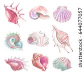 Seashells Watercolor