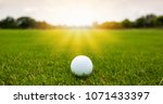 Colorful Of White Golf Ball On...