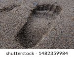 Footprint In The Sand On The...