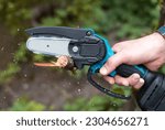 Small photo of Hand holds light chain saw with battery to trim broken branch of an tree, in sunny day