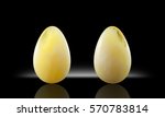 amber succinite cabochon front... | Shutterstock . vector #570783814