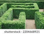 Green Garden Maze. Soft focus.